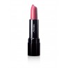 7292381098340 - SHISEIDO LIPSTICK ROUGE PERFECT RS347 - BARRA DE LABIOS