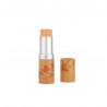 3700306985137 - COULEUR CARAMEL FOND DE TEINT COMPACT STICK Nº13 BEIGE ORANGE - COLORETE