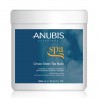 5635000000000 - ANUBIS SPA CHOCO GREEN TEA MASK 1000ML - MASCARILLAS