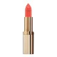 3600522857365 - L'OREAL LABIAL COLOR RICHE MATTE 227 - BARRA DE LABIOS