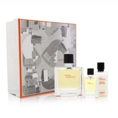 3346131410002 - HERMES PARIS TERRE D'HERMES EAU DE TOILETTE 155ML VAPORIZADOR - PERFUMES