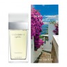 7370527586260 - DOLCE GABBANA LIGHT BLUE ESCAPE TO PANAREA EAU DE TOILETTE 25ML VAPORIZADOR EDICION - PERFUMES