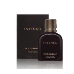 7370527836970 - DOLCE GABBANA POUR HOMME INTENSO EAU DE PERFUME 40ML VAPORIZADOR - PERFUMES