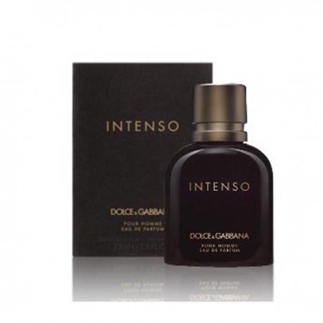 7370527836970 - DOLCE GABBANA POUR HOMME INTENSO EAU DE PERFUME 40ML VAPORIZADOR - PERFUMES