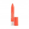 3099763484070 - REVLON COLORBURST KISSABLE BALSAMO LABIAL 040 RENDEZVOUS 3.18GR - CUIDADO DE LABIOS