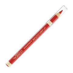 3600522860792 - L'OREAL LIPLINER COUTURE COLOR RICHE 377 - LAPICES DE LABIOS
