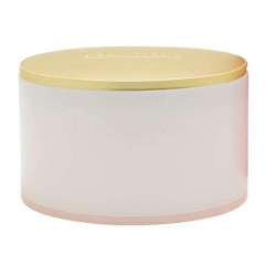 0271310008770 - ESTEE LAUDER PERFUMED BODY POWDER 100GR. - HIDRATACION