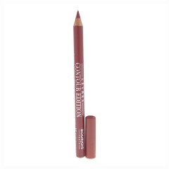 3052503301112 - BOURJOIS CONTOUR EDITION LIPLINER 11 FUNKY BROWN - LAPICES DE LABIOS