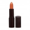 3607345380735 - RIMMEL LASTING FINISH LIPSTICK 210 - BARRA DE LABIOS