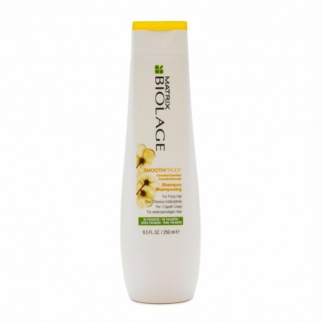 3474630620926 - MATRIX BIOLAGE SMOOTHPROOF FRIZZY HAIR CHAMPU 250ML - CHAMPÚ