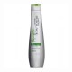 8844861304880 - MATRIX BIOLAGE FIBERSTRONG CHAMPU 400ML - CHAMPÚ