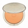 3387953106032 - CARON PARIS FARD A JOUES COLORETE 53 ORANGE 5.6GR - COLORETE
