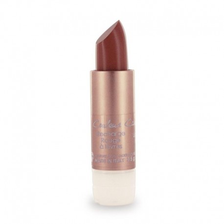 3662189200106 - COULEUR CARAMEL RELLENO BARRA DE LABIOS 58 CHESTNUT - BARRA DE LABIOS