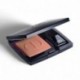 3348901372787 - DIOR DIORSKIN ROUGE COLORETE 459 CHARNELLE - COLORETE