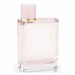 3614227693876 - BURBERRY HER EAU DE PARFUM 100ML VAPORIZADOR - PERFUMES