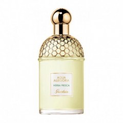 3346475503392 - GUERLAIN AQUA HERBA FRESCA EAU DE TOILETTE TESTER 125ML VAPORIZADOR - PERFUMES