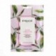 3390150575204 - LOOK YOUNGER MORNING MASK 15UN - MASCARILLAS