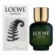 8426017053723 - LOEWE ESENCIA AFTER SHAVE 200ML - AFTER SHAVE